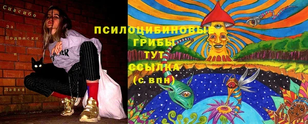 кристаллы Карпинск