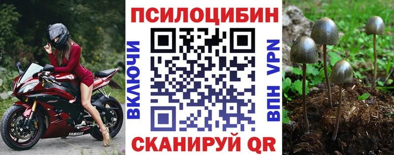 Галлюциногенные грибы мицелий  Купить где  Свирск 